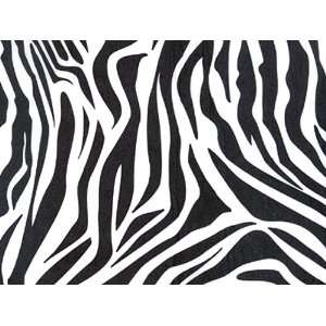   Zebra Wrap Tissue Paper 20 X 30   24 Sheets: Health & Personal Care