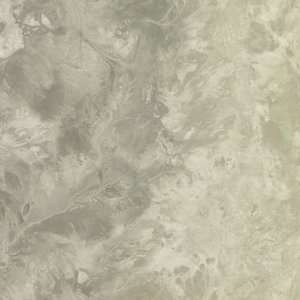  Decorate By Color Birds eye Marble Wild Sage BC1585155 