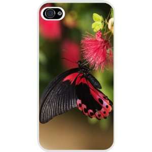  Rikki KnightTM Red Black Butterfly Design White Hard Case 