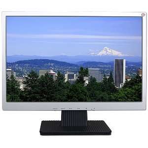    19 A190A2 G08 DVI Widescreen LCD Monitor (Silver): Electronics