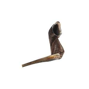  60 cm shofar made from ram horn 