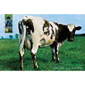  PINK FLOYD ATOM HEART MOTHER WALL POSTER: Home & Kitchen
