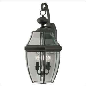  Outdoor Wall Sconces Westinghouse 64855