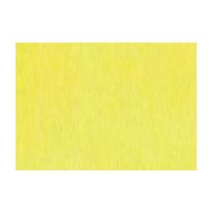  Shin Han Touch Twin Marker   Pastel Yellow: Arts, Crafts 