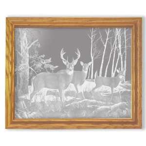  White Tailed Deer Etched Mirror   Solid Oak Rectangle 