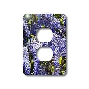 Florene Flowers   Closeup Purple Flower Tree   Light Switch Covers   2 