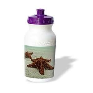   Panama   Sea star, San Blas Islands   Water Bottles