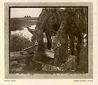 1907 Emma Bicek lovely book print image of Horses at their Feeding 