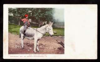 1901 boy rides kind and gentle donkey postcard  