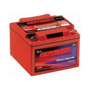   PC925 Sealed AGM Automotive Starter Battery 380CCA: Car Electronics