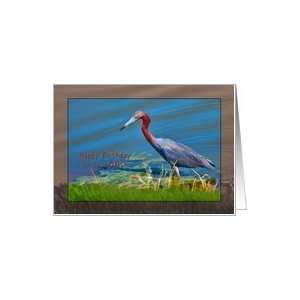  Birthday, 86th, Little Blue Heron Bird Card Toys & Games
