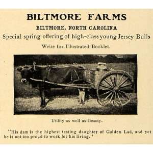  1906 Ad Biltmore Farms Jersey Bulls Farm Animals Breeds 