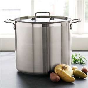 All Clad Stainless Steel Stockpot, 12 Qt.:  Kitchen 