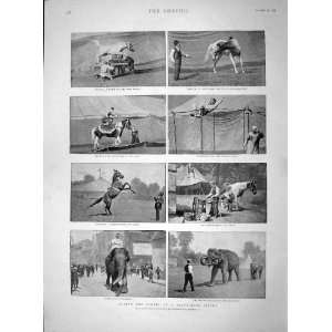  1893 TRAVELLING CIRCUS ELEPHANTS HORSE PARALLEL BARS: Home 