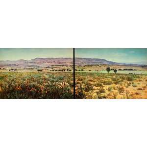 1935 Print New Mexico Landscape Grazing Sheep Thistle Landscape Grass 