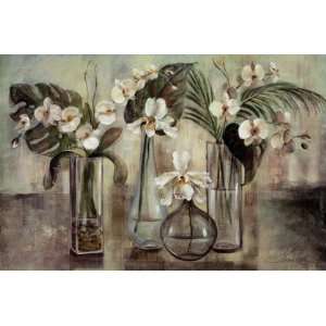  Silver Orchids by Silvia Vassileva 36x24