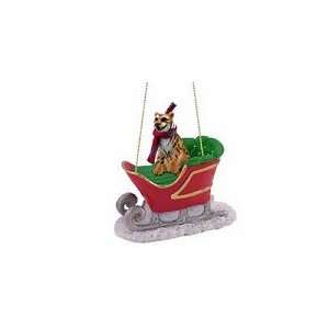  Tiger Sleigh Ride Christmas Ornament: Home & Kitchen