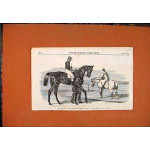  Promised Land Racehorse Newmarket Herring 1859 Print