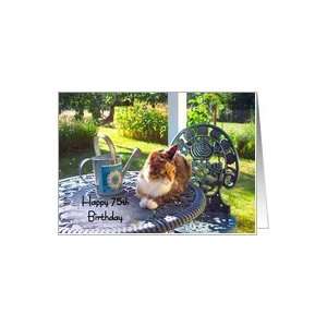   75th Birthday, calico cat on porch, garden view Card: Toys & Games