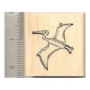  Pterosaur, Dinosaur Rubber Stamp Arts, Crafts & Sewing