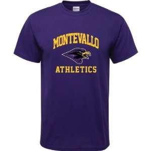 Montevallo Falcons Purple Youth Athletics Arch T Shirt:  