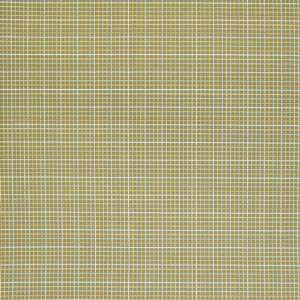  203194s Green by Greenhouse Design Fabric: Home & Kitchen