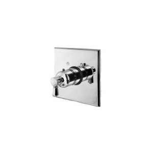 Newport Brass Square Thermostatic Trim Plate Only with Lever Handle 