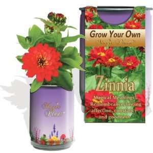 Grow Your Own Zinnia Patio, Lawn & Garden