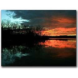 CATeyes Life Gallery wrapped Canvas Art  Overstock