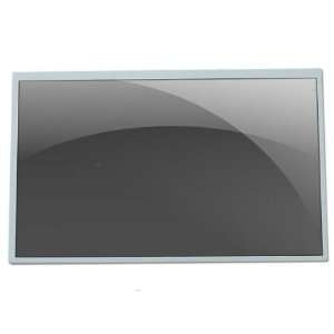  New,Grade A+,10.2 inches,1024x600,WSVGA LCD Panel for 