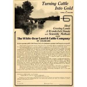  1910 Ad White Bear Land Cattle Cow Thomas Dinsmore Lake 