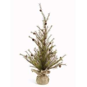 Pack of 2 Potted Mixed Pine Twig Christmas Trees with Pinecones 36 
