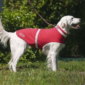  Corkys Collar See Me Reflective Dog Vest