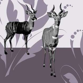 numsi Animals Kudu Limited Edition Wall Art Panel in Lilac   Size 5 