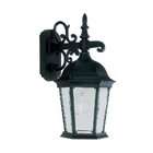   Black Cast Aluminum Outdoor Wall Lantern with Clear Beveled Glass