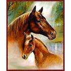   Size Super Plush Mare and Foal Horses Mink Style Blanket Cover 79x95