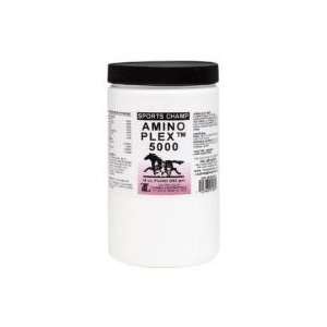  Amino Plex 5000   16 ounces Powder