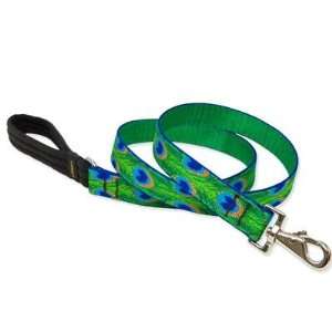   : Lupine Nylon Dog Leash 4 foot x 1 inch Tail Feathers: Pet Supplies