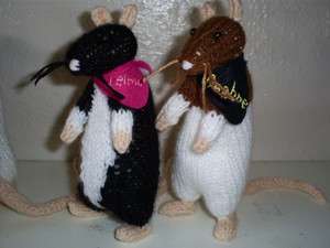 Hand Knitted CUTE*PET RAT* gift collectible All colours  