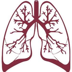  Lungs Removable Wall Sticker