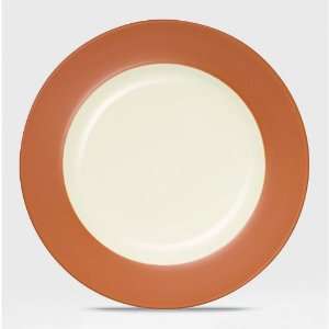  Colorwave Terra Cotta Rim Salad Plate: Kitchen & Dining