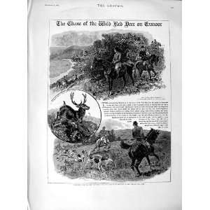  1889 Red Deer Hunting Exmoor Porlock Dunkery Beacon