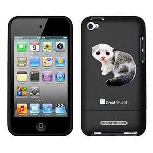  Scottish Fold Kitten on iPod Touch 4g Greatshield Case 