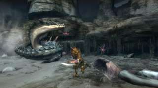 Monster Hunter Tri: Nintendo Wii: .de: Games
