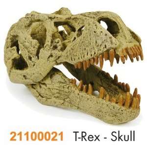 Dino Kit T REX SKULL Skeleton Geoworld Fossil Dinosaur Prehistoric 