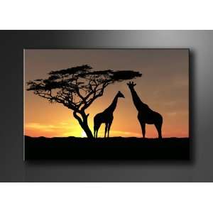 Bild auf Leinwand Afrika 120 x 80 cm Modell Nr. XXL 5034 Bilder fertig 