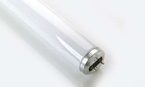 30 F20T12/CW/RS Cool White 20W T12 Fluorescent Bulb 24  