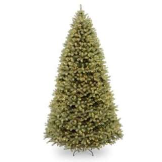   Accents Holiday12 ft. Pre Lit Down Swept Douglas PE/PVC Tree Clear