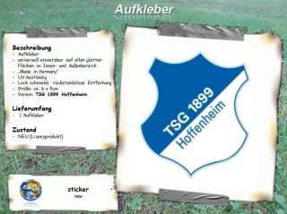 TSG Hoffenheim   6x5cm Aufkleber Logo Wappen Sticker  