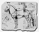 CRV253 DA VINCI HORSE cling rubber Stampendou​s Stamp ar